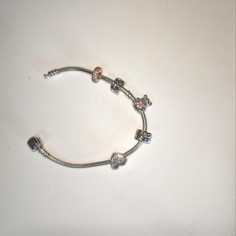 Pandora Silver Bracelet and Pandora Charms